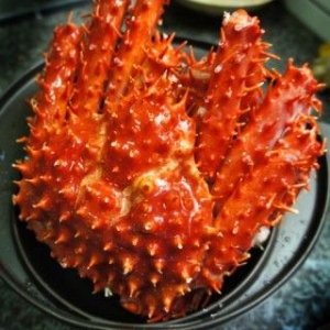 帝王蟹(4斤~4.1斤)